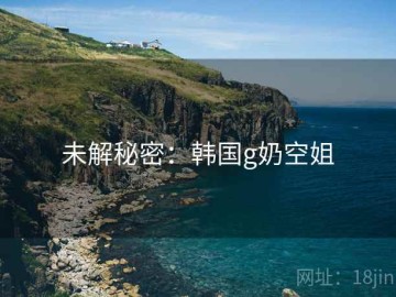 未解秘密：韩国g奶空姐