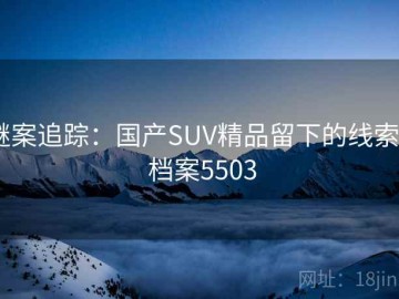 谜案追踪：国产SUV精品留下的线索 · 档案5503