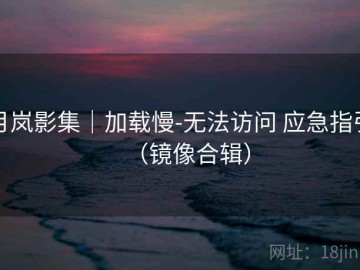 月岚影集｜加载慢-无法访问 应急指引（镜像合辑）