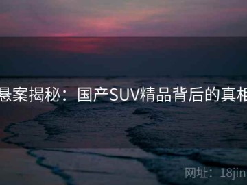 悬案揭秘：国产SUV精品背后的真相