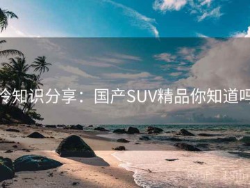 冷知识分享：国产SUV精品你知道吗