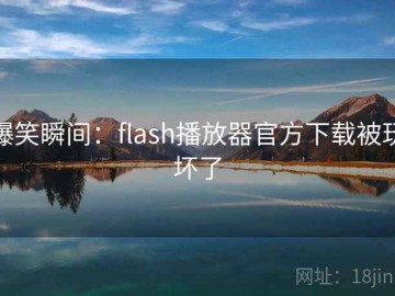 爆笑瞬间：flash播放器官方下载被玩坏了