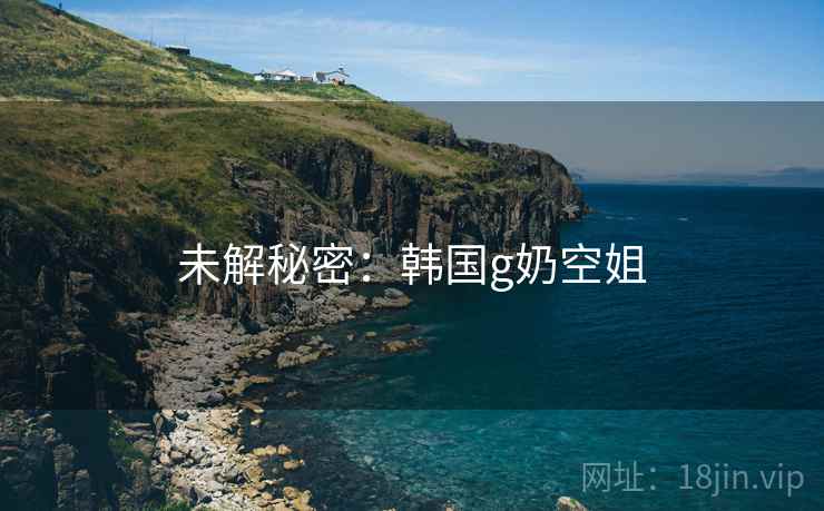 未解秘密：韩国g奶空姐