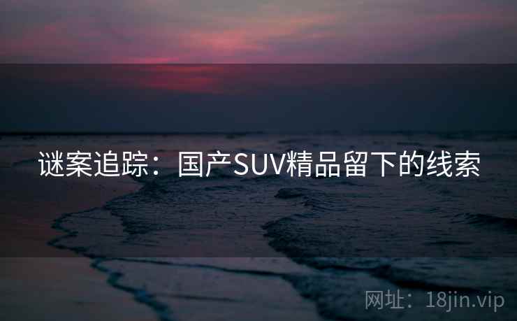 谜案追踪：国产SUV精品留下的线索