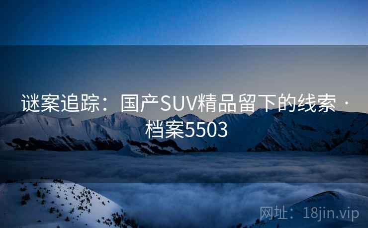 谜案追踪:国产SUV精品留下的线索 · 档案5503 谜案追踪:国产SUV精品留下的线索 · 档案5503