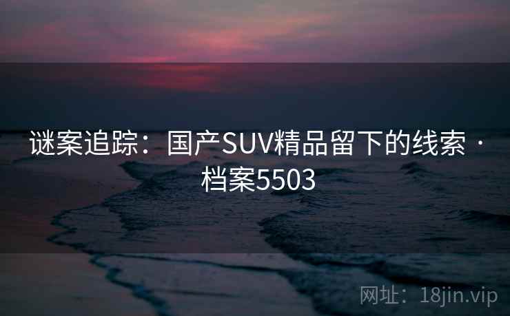 谜案追踪:国产SUV精品留下的线索 · 档案5503 谜案追踪:国产SUV精品留下的线索 · 档案5503