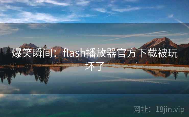 爆笑瞬间：flash播放器官方下载被玩坏了